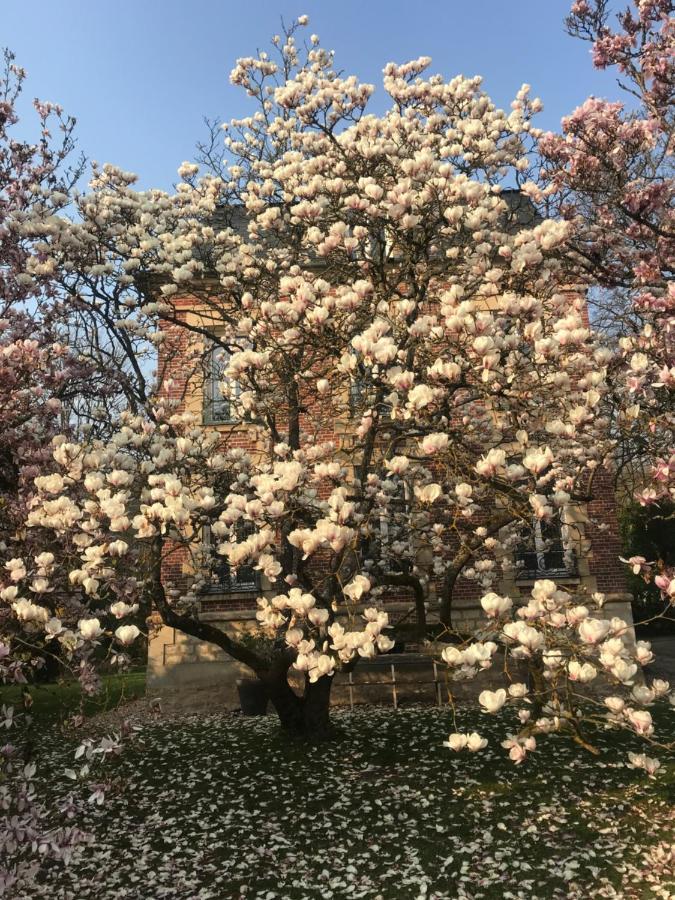 L'Atelier Des Magnolias Bed & Breakfast Aumont-en-Halatte Exterior photo