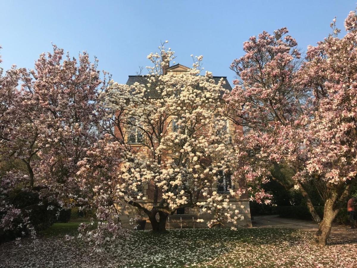 L'Atelier Des Magnolias Bed & Breakfast Aumont-en-Halatte Exterior photo